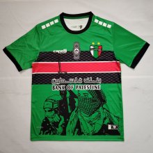 Palestine green Special Edition Fans 1:1 Quality Soccer Jersey 25-26