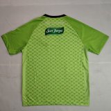 Palestine GREEN Special Edition Fans 1:1 Quality Soccer Jersey 25-26