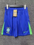 Brazil pant pants shorts  away home third away   1:1