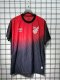 Paranaense Home Fans  1:1 Quality Soccer Jersey   25-26