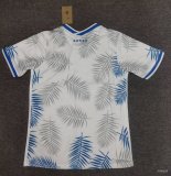 Brazil  Special Edition Fans 1:1 Quality Soccer Jersey  24-25