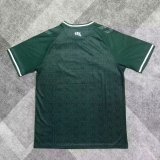 SV Werder Bremen  Special Edition Fans 1:1 Quality Soccer Jersey  25-26