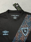 Guatemala Third  Fans 1:1 Quality Soccer Jersey  25-26