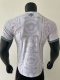 Mexico Special Edition Player 1:1 Quality Soccer Jersey   25-26
