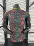Mexico Special Edition player 1:1 Quality Soccer Jersey   25-26