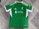Liverpool Special Edition Green Fans 1:1 Quality Soccer Jersey  25-26