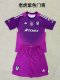 Tiger Purple Goalkeeper Black Kids  1:1 Quality Soccer Jersey 25-26
