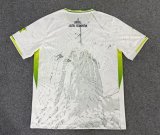 Brazil  Special Edition  Fans 1:1 Quality Soccer Jersey 25-26