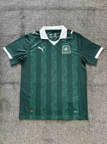 Plymouth Argyle Home Fans  1:1  25-26