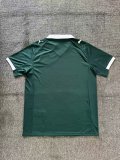 Plymouth Argyle Home Fans  1:1  25-26