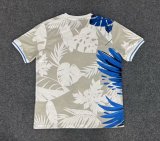 Brazil  Special Edition  Fans  1:1 Quality Soccer Jersey 25-26