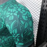 Palestine Green  Player 25-26  1:1 Quality Soccer Jersey