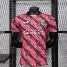 Palestine  Special Edition  Player 1:1 Quality Soccer Jersey  25-26