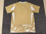 Shabab AlAhli Club Dubai Third Away Fans 1:1 Quality Soccer Jersey    24-25