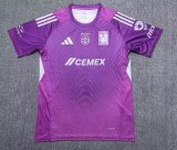 Tiger Goalkeeper  player 1:1 Quality Soccer Jersey  25-26