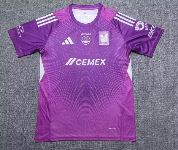 Tiger Goalkeeper  player 1:1 Quality Soccer Jersey  25-26