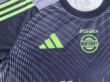 Tiger goalkeeper  player 1:1 Quality Soccer Jersey  25-26