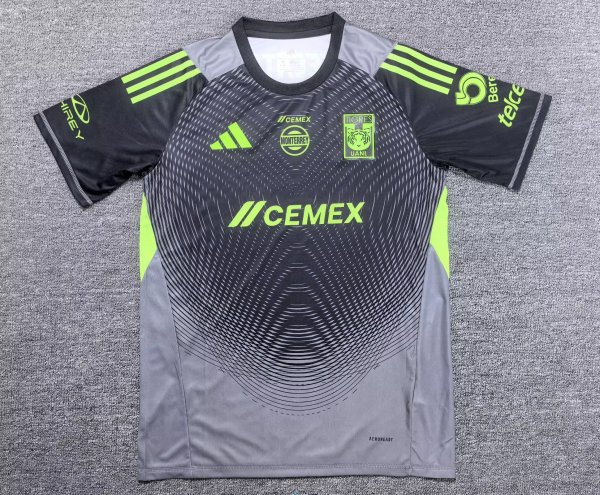 Tiger goalkeeper  player 1:1 Quality Soccer Jersey  25-26