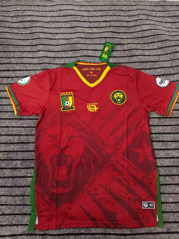 Cameroon home fans 1:1 Quality Soccer Jersey 25-26