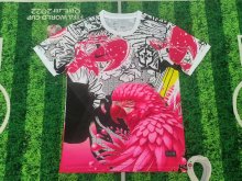 Brazil  Special Edition  Fans  1:1 Quality Soccer Jersey 25-26