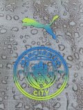 Manchester City Third Player  1:1 Quality Soccer Jersey   25-26