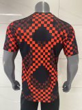 Benfica Training  Special Edition Fans 1:1 Quality Soccer Jersey 25-26