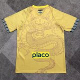 Santos Special Edition Fans  1:1 Quality Soccer Jersey  25-26