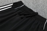 Argentina  Training  Fans kits  1:1 Quality Soccer Jersey 25-26 (Kids And Man )
