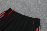 Manchester United Training  Fans kits  1:1 Quality Soccer Jersey 25-26 (Kids And Man )