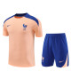 France Training  Fans kits  1:1 Quality Soccer Jersey 25-26 (Kids And Man )