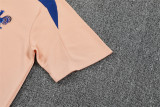 France Training  Fans kits  1:1 Quality Soccer Jersey 25-26 (Kids And Man )
