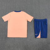 France Training  Fans kits  1:1 Quality Soccer Jersey 25-26 (Kids And Man )