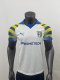 Parma Away Fans 1:1 Quality Soccer Jersey  25-26