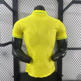 Brazil  Special Edition  Yellow Player 1:1 25-26