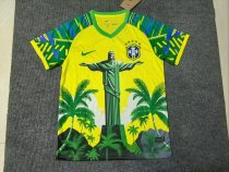 Brazil Special Edition Fans 1:1 Quality Soccer Jersey 25-26