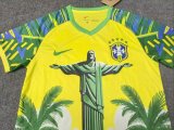 Brazil Special Edition Fans 1:1 Quality Soccer Jersey 25-26