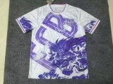Barcelona  Special Edition  Fans  1:1 Quality Soccer Jersey 25-26