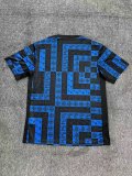 Pumas Tranining  Special Edition Fans 1:1 Quality Soccer Jersey  25-26