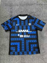 Pumas Tranining  Special Edition Fans 1:1 Quality Soccer Jersey  25-26