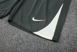 Chelsea  Training  Fans Kits  1:1 Quality Soccer Jersey 25-26 (Kids And Man )