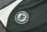 Chelsea  Training  Fans Kits  1:1 Quality Soccer Jersey 25-26 (Kids And Man )