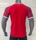 Ipswich Town Away Fans  1:1 Quality Soccer Jersey   25-26