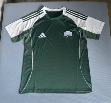 Panathinaikos Home Fans 1:1 Quality Soccer Jersey 25-26