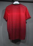 Retro  Portugal Home Player   1:1 Quality Soccer Jersey 2014