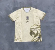 Brazil Special Edition Fans 1:1 Quality Soccer Jersey 25-26
