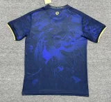 Chelsea Special Edition Fans 1:1 Quality Soccer Jersey 25-26