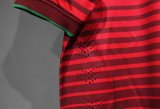 Retro  Portugal Home Player   1:1 Quality Soccer Jersey 2014
