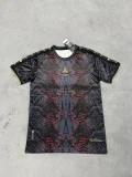PSG Paris Special Edition Fans 1:1 Quality Soccer Jersey   25-26