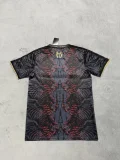 PSG Paris Special Edition Fans 1:1 Quality Soccer Jersey   25-26