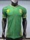 Mali Away player  1:1 Quality Soccer Jersey   25-26